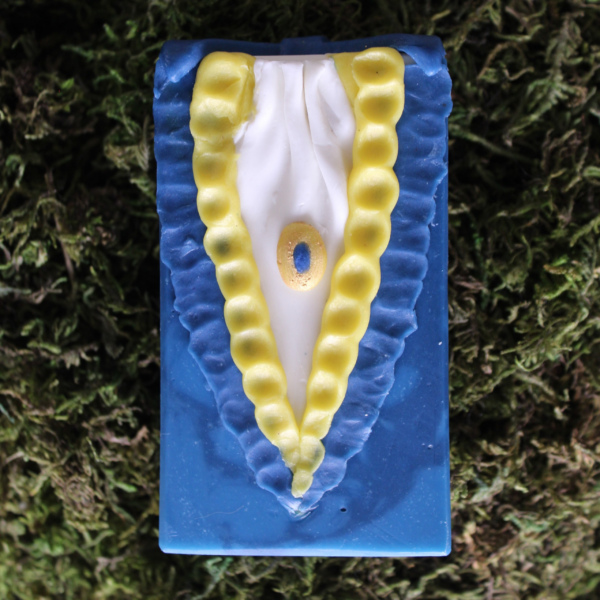 blue and yellow beast soap bar with blue and yellow ruffles and blue bow on top