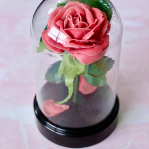 red piped soap rose inside plastic dome container